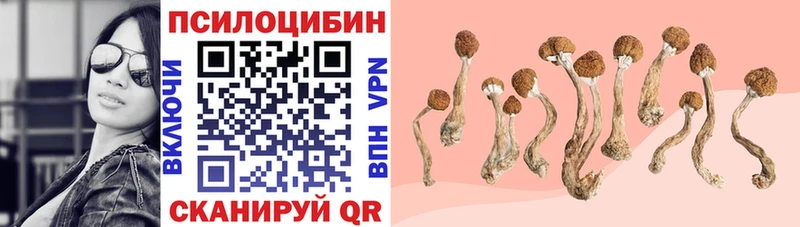 ОМГ ОМГ вход Елец Галлюциногенные грибы ЛСД